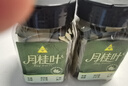 川珍香叶20g瓶装【配料干净】广西月桂叶炖烧卤肉火锅底料调料香辛料 实拍图