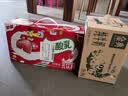 伊利【时代少年团同款】优酸乳草莓味250ml*24盒乳饮料新老包装随机发 实拍图