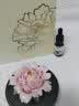 Para Ella永生花陶瓷花牡丹香薰生日礼物女友妈妈教师节老师退休七夕情人节 实拍图
