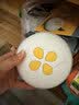 美德乐（Medela）吸奶器电动吸奶器双边吸乳器母乳集奶器挤奶器丝韵·翼舒悦版 实拍图