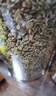 神农金康 罗布麻500g 新疆罗布麻嫩叶花草茶搭杜仲绞股蓝罗布麻组合茶礼品 实拍图