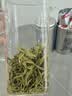 乐品乐茶特级明前碧螺春绿茶2026新茶浓香耐泡口粮茶叶250g冷泡茶自己喝 实拍图