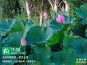 荣耀Play10T 5G AI手机 7000mAh大电池 金标抗摔超强防水 AI 一键直达 12+256 天海青 国家补贴 实拍图