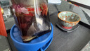 忆江南花茶桑葚茯苓玫瑰花茶225g补茶包气血养生茶红枣百合 实拍图