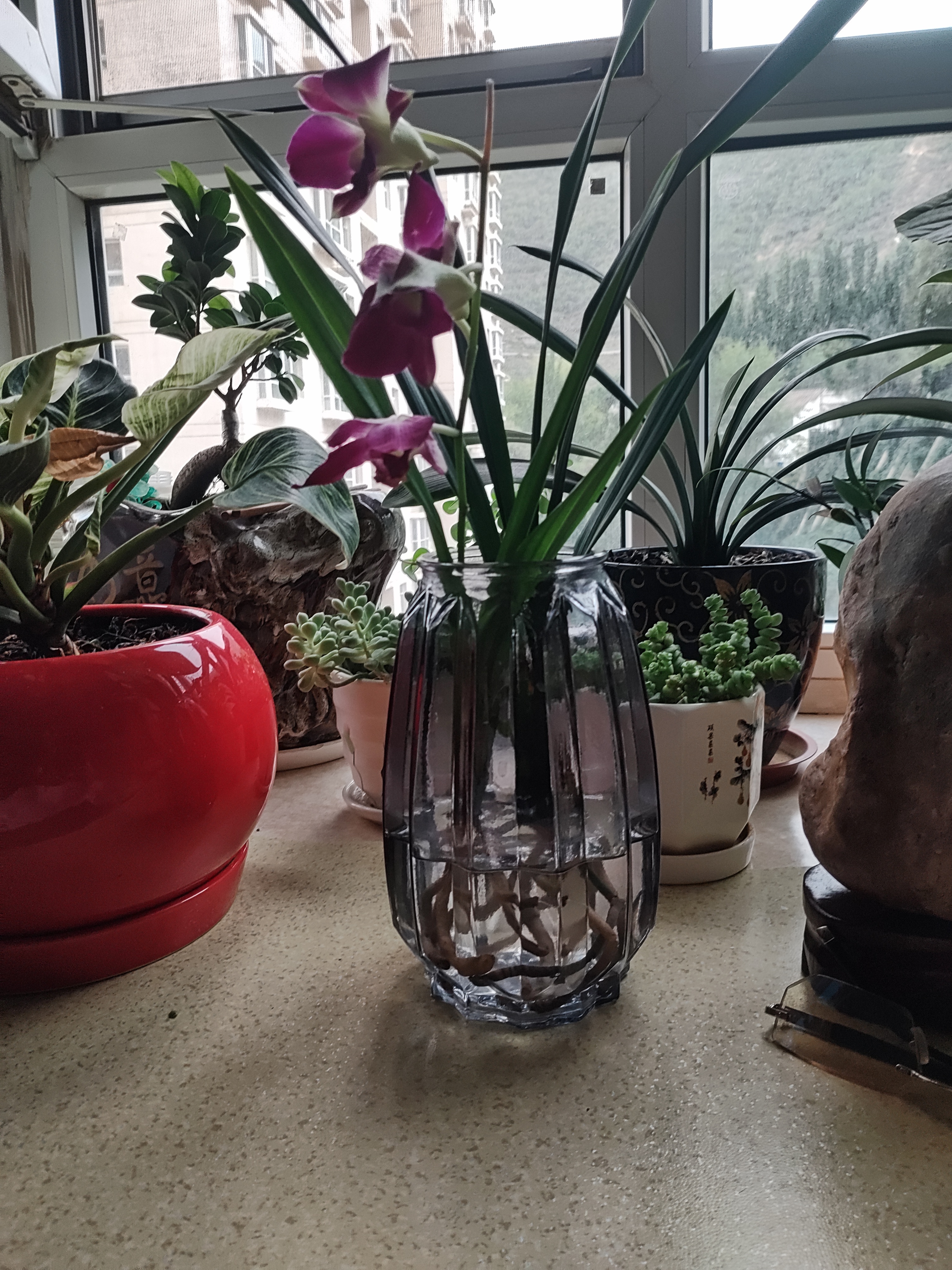 北欧轻奢玻璃花瓶透明客厅高级感插花水养鲜花装饰精致花器摆件 【烟灰组合】20高+27高璀璨 实拍图