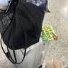 海澜之家（HLA）行李箱20英寸登机男轻便出差短途女旅行拉杆箱大容量象牙白20英寸 实拍图