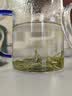 道道全【保真菜籽油】食用油 低芥酸压榨菜籽油 芥酸含量<1% 5L*1桶 实拍图