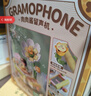 费米（Femibox）儿童拼装积木玩具生日礼物肉肉酱花朵留声机S34004 实拍图