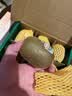 佳沛（zespri）新西兰  阳光金奇异果6粒装 单果约88-103g 猕猴桃水果 实拍图