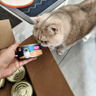 麦富迪猫罐头 红肉猫罐头猫咪零食成幼猫补水亮毛吞拿鱼鸡肉170g*24罐 实拍图