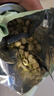 半山农 茉莉花50g 茉莉花花草茶 横县三伏晴天茉莉花苞花蕾养生茶 实拍图