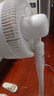美的（Midea）【变频轻音】空气循环扇家用语音遥控电风扇 一级能效静音落地扇 卧室桌面大风力小风扇 GDJ24SHG 实拍图