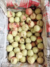 摩飞电器（Morphyrichards）干果机 烘干机食品风干机小型食物 水果蔬菜肉类宠物零食自制牛肉干鸡肉干家用迷你电烤箱 MR6255 轻奢蓝 8L 实拍图