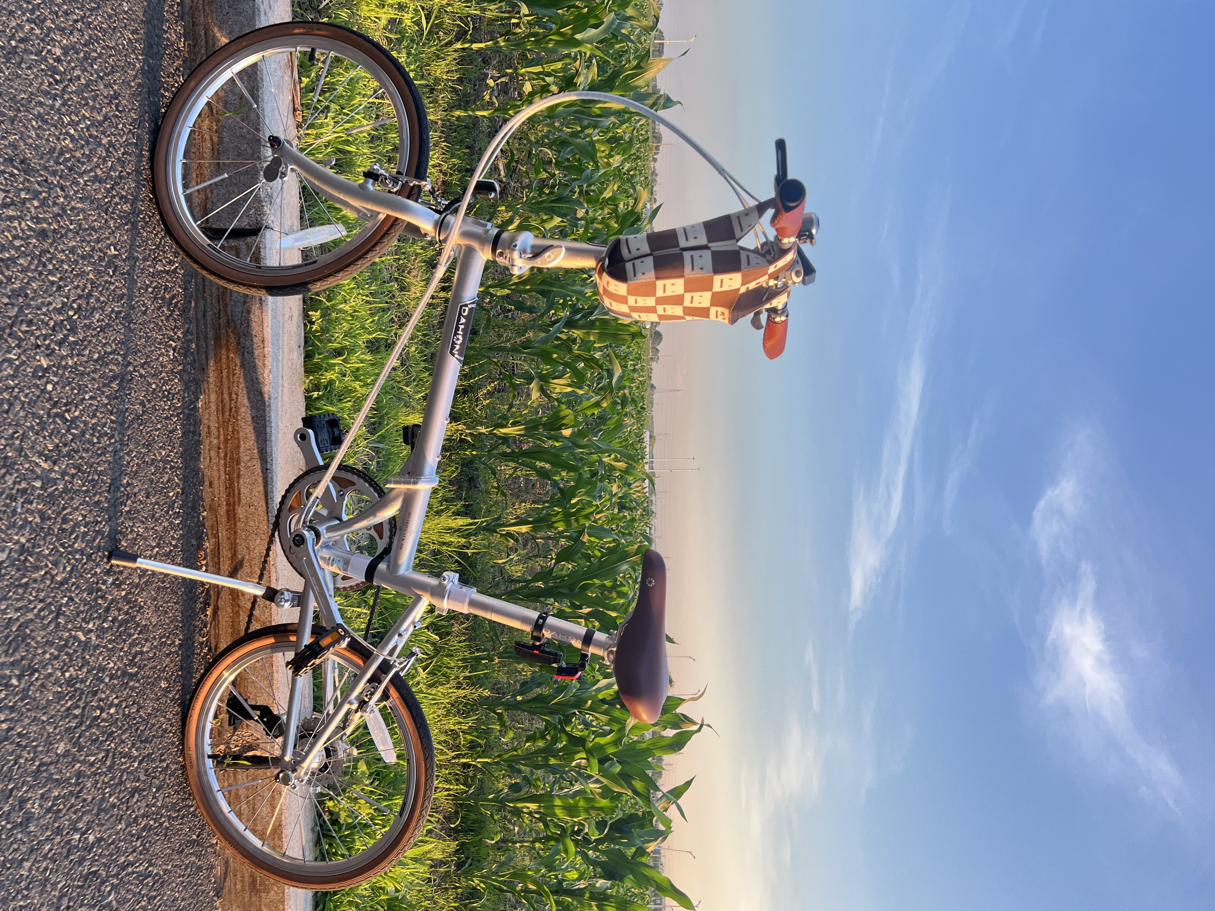 大行（DAHON）D10折叠自行车20英寸10速成人复古风单车HAC003 电镀银  实拍图