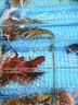 3M洗车液水蜡专用强力去污高泡沫免擦浓缩型洗车泡沫清洗剂PA壶可用 实拍图