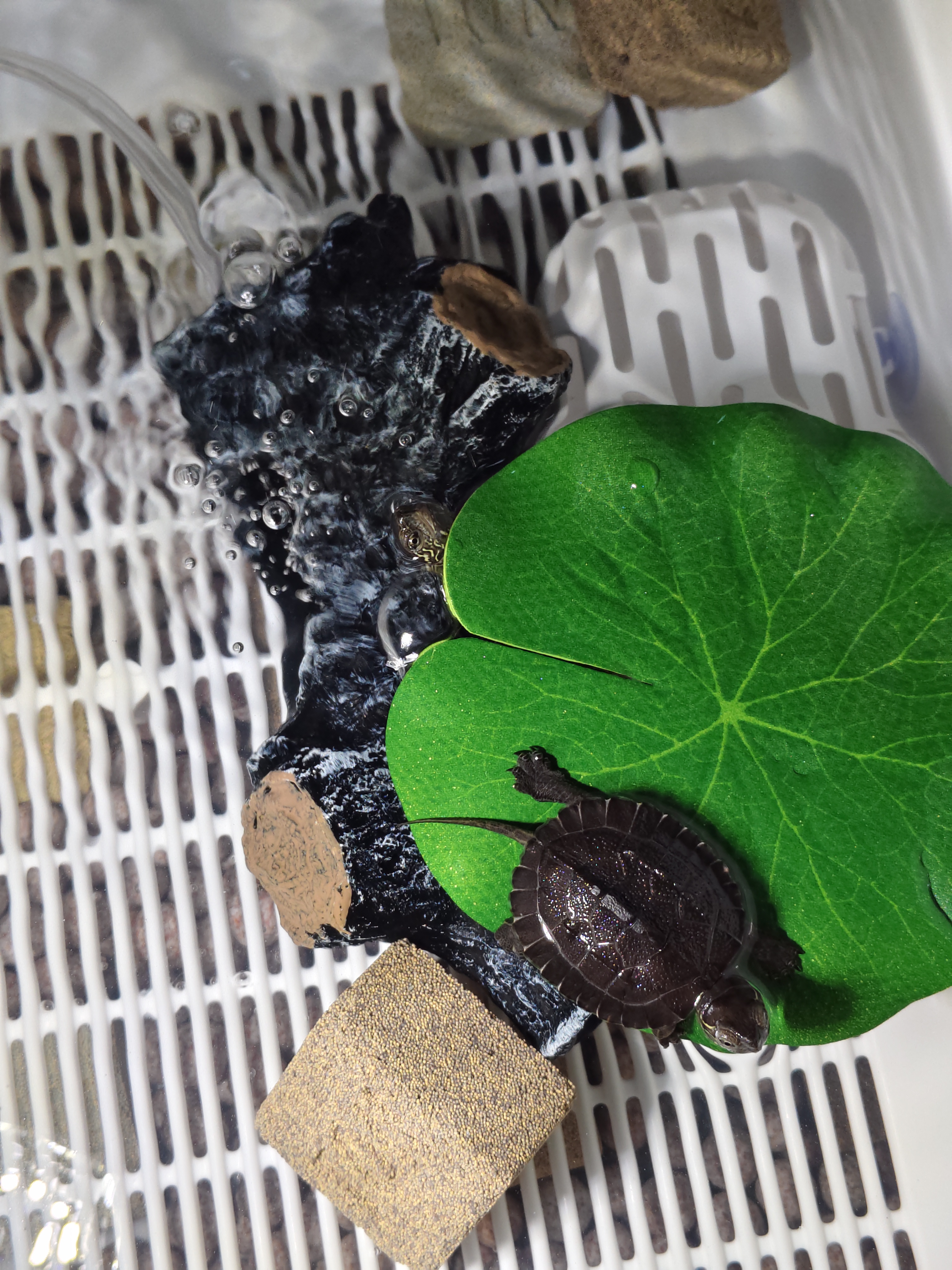 萌嘟星宠鱼缸造景装饰仿真树洞躲避硐摆件鱼虾繁殖躲避罐水族箱创意布景 实拍图