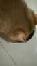伟嘉主食猫罐头软包猫主食餐包湿粮 幼猫妙鲜包85g*12混合味 实拍图