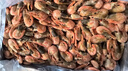 禧美海产熟冻北极甜虾净重3斤装/盒 150/180小号规格 MSC认证 轻食 海鲜 实拍图