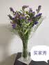 爱满云南勿忘我干花鲜花摆件客厅装饰真花插花满天星花束节日生日搭配 勿忘我六色+情人草约40支左右 实拍图