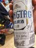 青岛啤酒（TsingTao）全麦白啤 精酿白啤 500ml*10罐 礼盒装 实拍图
