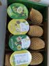 佳沛（zespri）新西兰阳光金奇异果 8个装 特大果单果重约124-146g 水果猕猴桃 实拍图