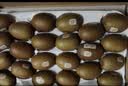佳沛（zespri）新西兰 阳光金果18粒超大果原箱单果175-204g 猕猴桃水果礼盒 实拍图