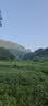 鱼跃（yuwell）上臂式电子血压计充电款血压仪医用高精准高血压测量仪家用680AR 实拍图