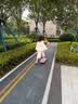 统步陆地冲浪板儿童成人初学大鱼板免蹬地弹簧桥四轮全闪32寸陆冲板 实拍图