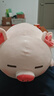 名创优品（MINISO）小猪B-BO弹力超柔趴姿公仔毛绒玩偶儿童玩具抱枕靠枕生日礼物女 实拍图