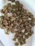 麦富迪狗粮 藻趣儿狗粮成犬粮牛肉螺旋藻 均衡营养15kg/30斤 实拍图