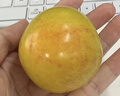 苏泊尔（SUPOR）破壁机 1.75L大容量家用多功能可预约辅食料理机 加热免滤全自动豆浆机 破冰碎冰榨汁机SP503A 实拍图