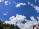 宜之选橡胶手套L码10双加厚厨房洗碗乳胶家务劳保清洁手套防水 实拍图