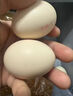 京鲜生 无抗保洁鲜鸡蛋30枚/盒 健康轻食 礼盒送礼 1.5kg/盒 源头直发 实拍图