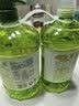 立白茶籽洗洁精2.9kg A类去污洁净99.9%除菌去油快不伤手洗涤灵洗碗液 实拍图