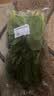 上海青约500g(油菜) 实拍图