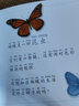 美国国家地理经典小百科3-6岁 虫虫百科 蝴蝶 蜘蛛 蚂蚁 蜜蜂 蜻蜓 蚱蜢（全6册） 实拍图