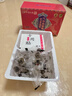 孔艾堂同仁堂艾草肚脐贴祛湿脾胃虚寒去除湿气重减肥排油燃脂瘦身肚子贴 实拍图