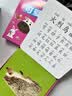 阳光宝贝 0-3岁儿童早教启蒙幼儿启蒙认知大卡 新鲜蔬菜   实拍图