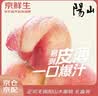 京鲜生 正宗无锡阳山水蜜桃 6粒礼盒装 单果6-7两 时令应季水果 实拍图