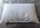 康尔馨希尔顿五星级酒店枕头 抗菌纯棉A类成人家用单人纤维枕芯 白色 中枕(74*48cm) 一对 实拍图