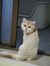 奥林巴斯（OLYMPUS）E-M10 MarkIV 微单相机 北京上海广东江苏广西吉林云南西藏85折（14-42mm银&40-150mm黑）双镜头 实拍图