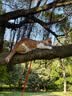 领先成猫尝鲜礼包主食级烘焙猫粮猫条餐盒汤包（新老款随机发货） 实拍图