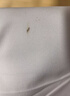艾薇 白床单抗菌床单白色军训学生宿舍单人床单单件 白色150*210cm 实拍图