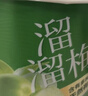 溜溜梅青梅分享桶460g西梅雪梅脆青梅果冻健康休闲零食团购礼包 实拍图