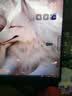 华硕小金刚VG27AQL5A 27英寸显示器2K200Hz显示器超频210Hz FastIPS FreeSync无撕裂 0.3ms响应 HDR400 实拍图