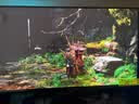 泰坦军团26.5英寸 QD-OLED镜面屏 2K 240Hz 原生10bit DeltaE≤1硬件低蓝光 升降 防烧屏 电竞显示器G2785S 实拍图