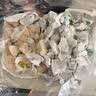 KONOKO宠物猫咪狗狗益生菌牙刷牙膏套装可食用口炎口臭牙结石口腔清洁 实拍图