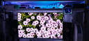 飞利浦EVNIA弈威32英寸 4K240Hz AR3.0黑透屏五层堆叠OLED DP2.1光效TypeC 电竞显示器 天王星32M2N8900X 实拍图