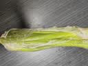 西芹1kg 实拍图
