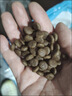 麦富迪狗粮 藻趣儿狗粮幼犬粮牛肉螺旋藻 呵护肠胃7.5kg/15斤 实拍图